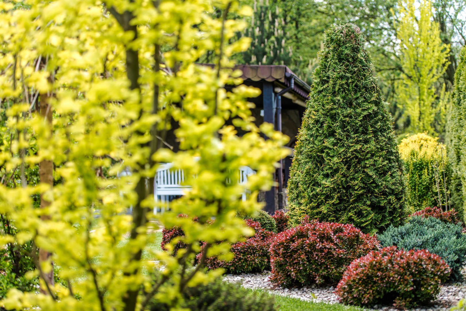 Backyard Garden Plants. Gardening Industry Theme.