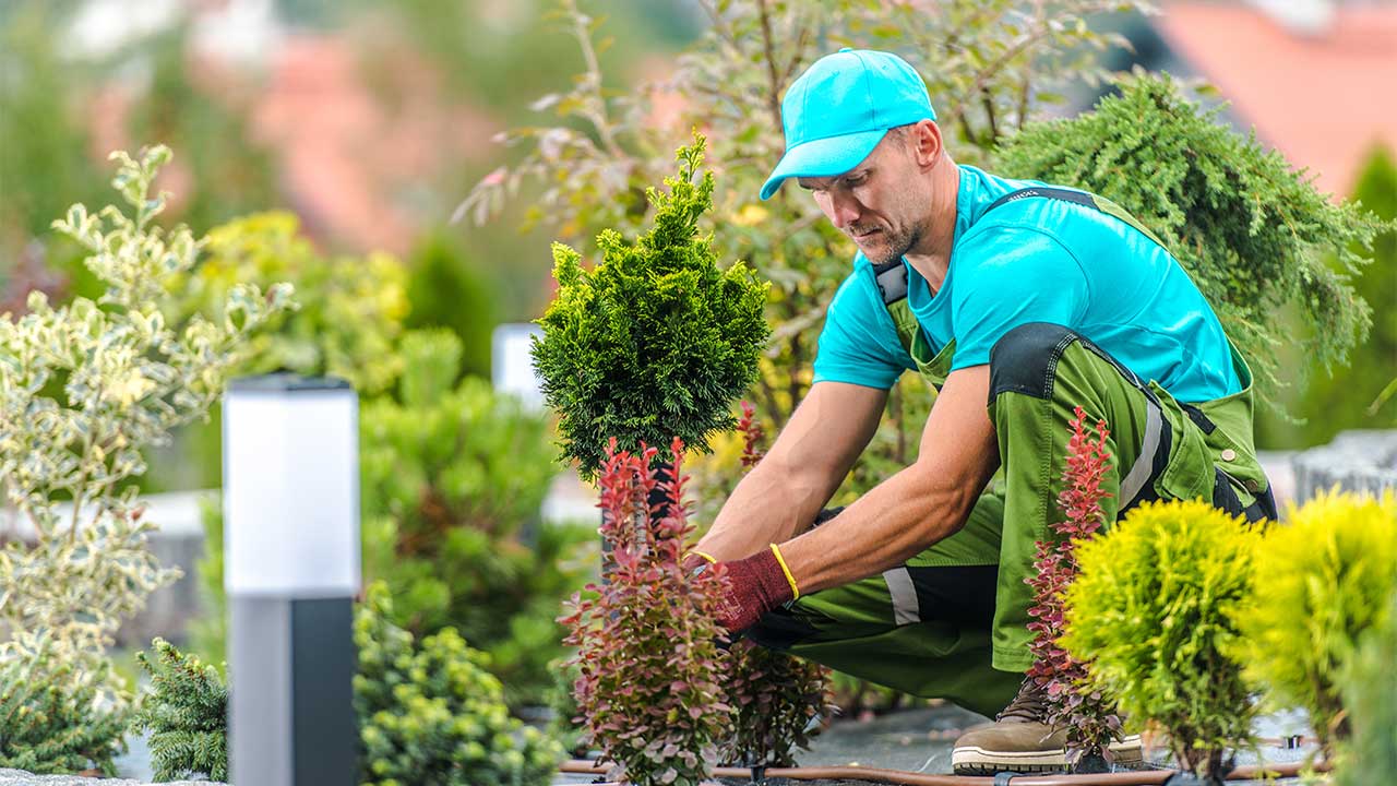 A man performing landscape maintenance.