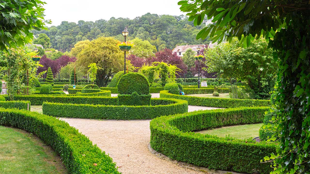 A beautiful and well maintained landscaped yard with the bushes on different shapes.